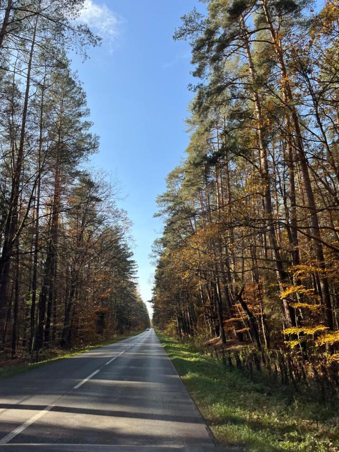 Siedlisko Pod Lasem Jozefow  Exterior foto